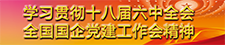 国企党建工作会